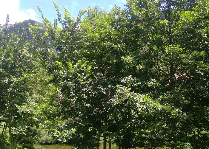 Moulin de Parayre